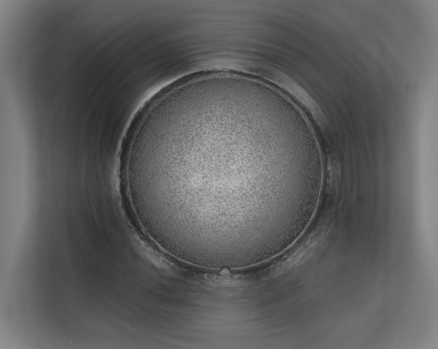 X0000110761020200906151301