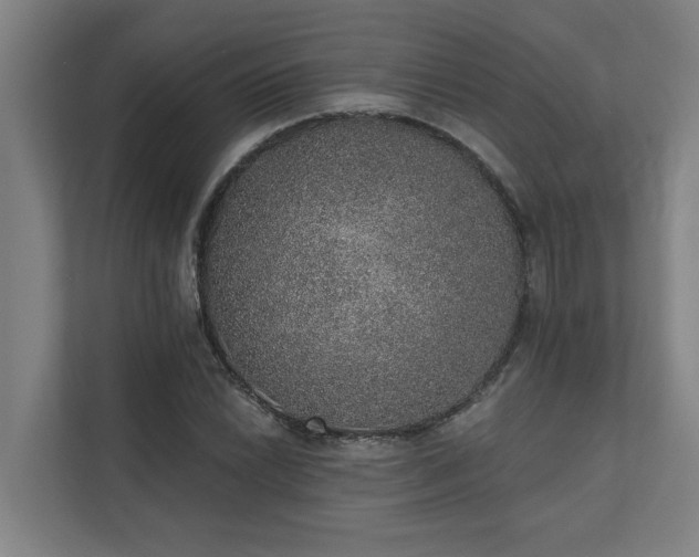 X0000110761022200906151301