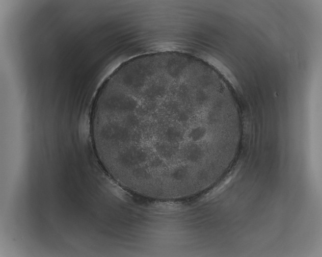 X0000110761023200906151301