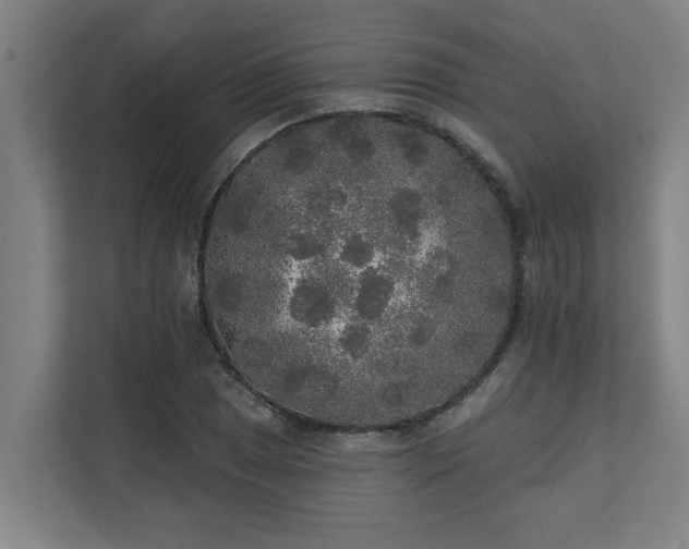 X0000110761025200906151301