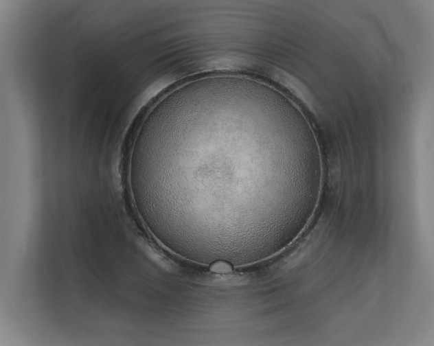 X0000110761026200906151301