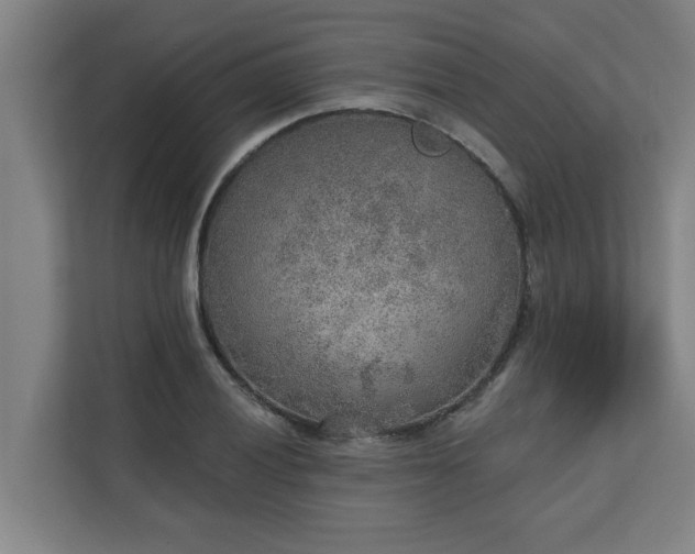 X0000110761028200906151301