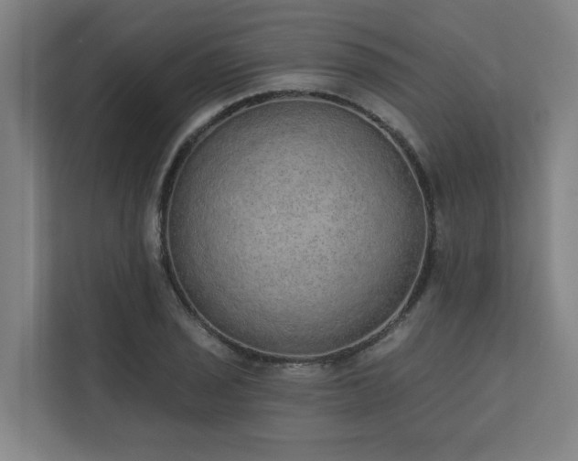 X0000110761029200906151301