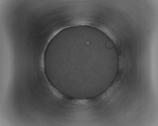 X0000110761031200906151301