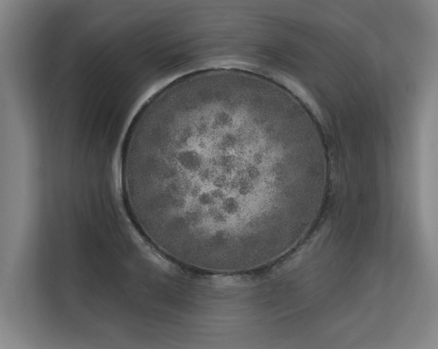 X0000110761032200906151301