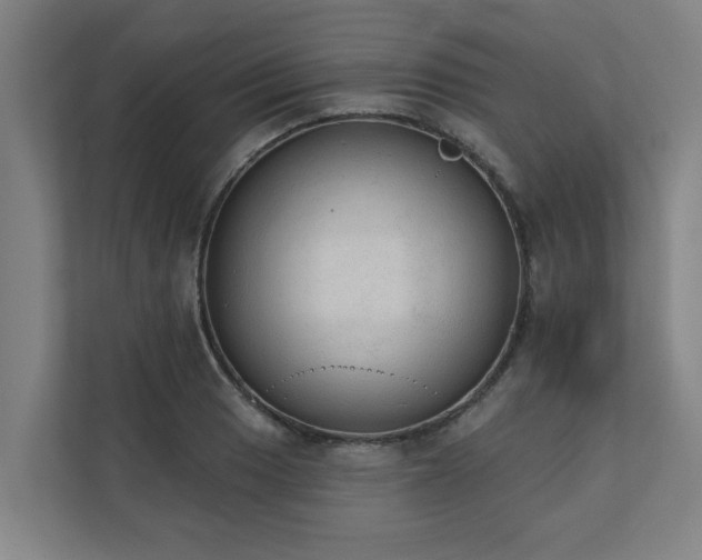X0000110761033200906151301