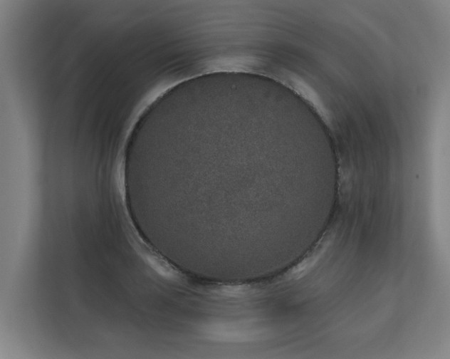 X0000110761035200906151302