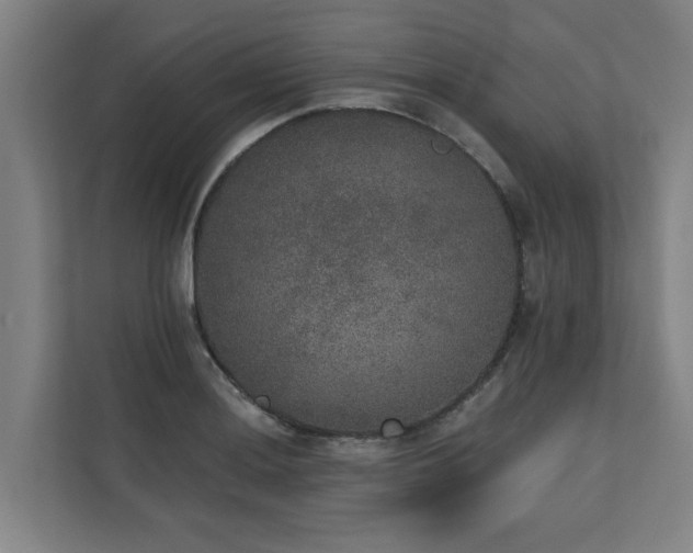 X0000110761036200906151302