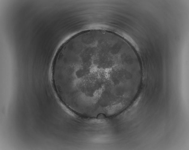 X0000110761037200906151302