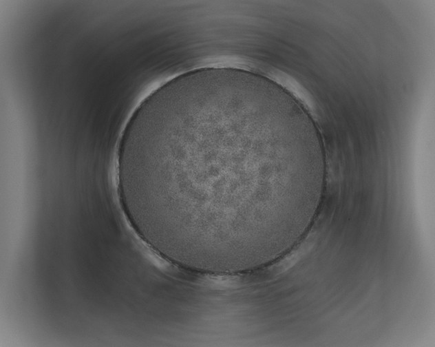 X0000110761040200906151302