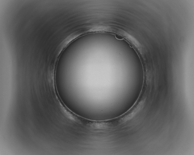 X0000110761041200906151302