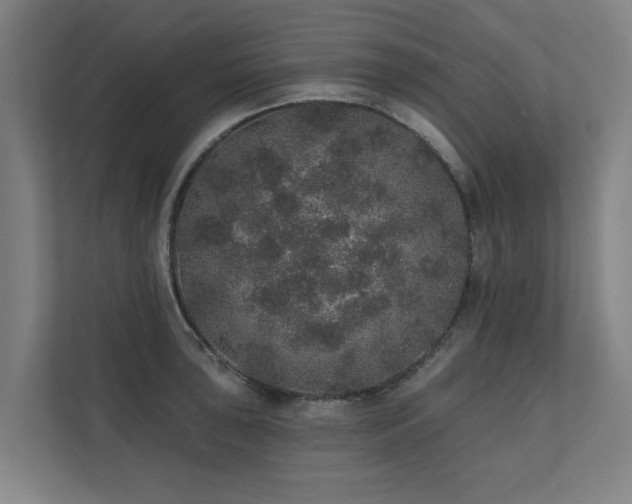 X0000110761043200906151302
