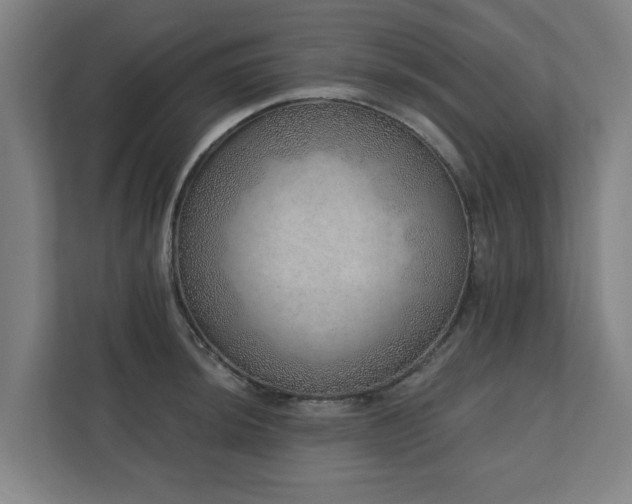X0000110761044200906151302