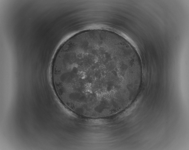 X0000110761045200906151302