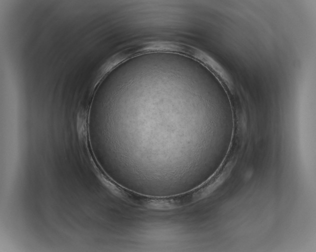 X0000110761049200906151302