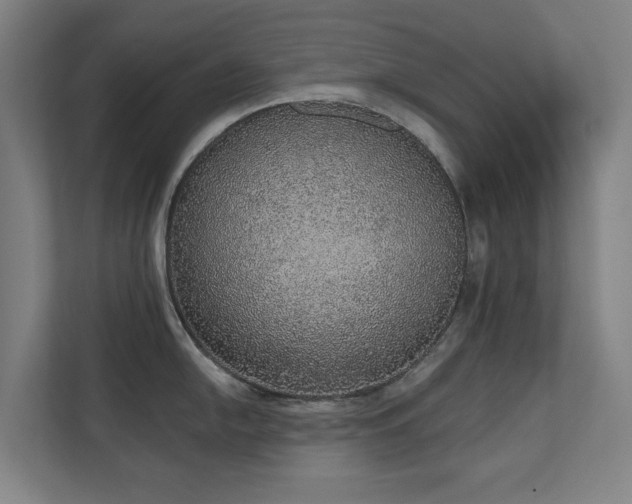 X0000110761054200906151302