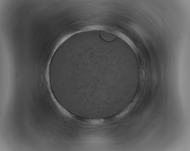X0000110761055200906151302