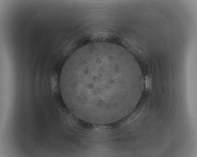 X0000110761059200906151301