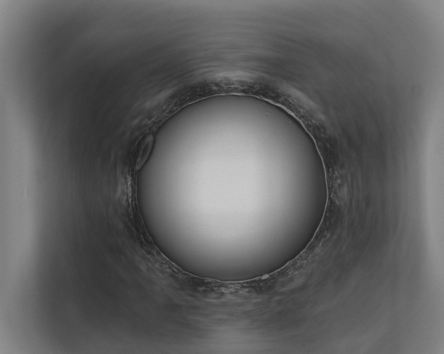 X0000110761061200906151301