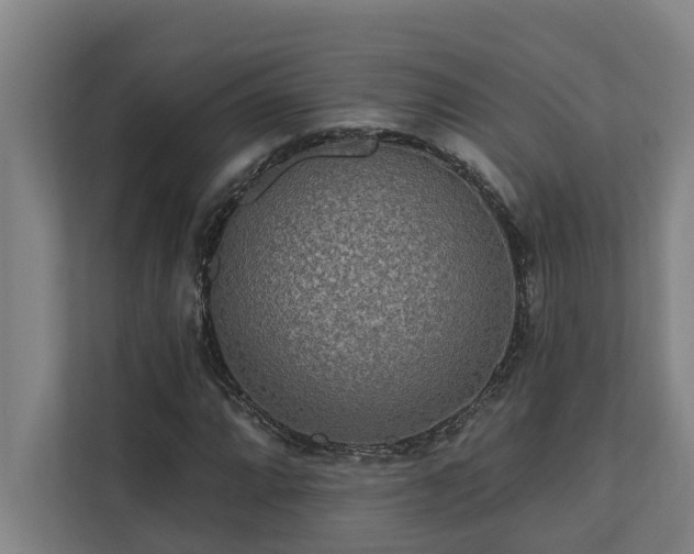 X0000110761064200906151301