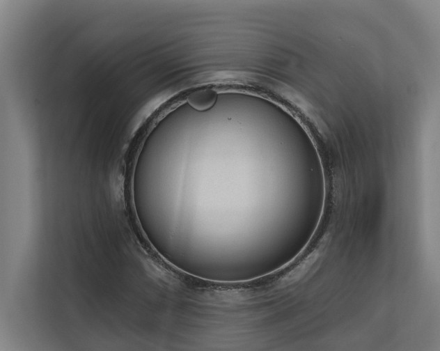 X0000110761066200906151301