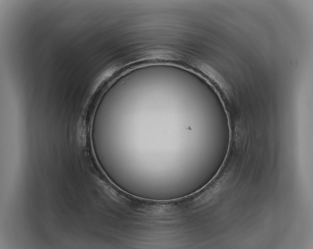 X0000110761067200906151301