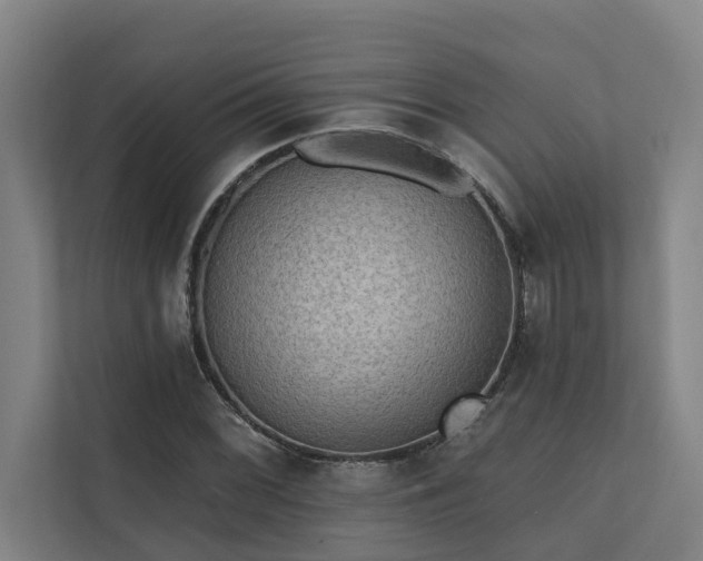 X0000110761068200906151301