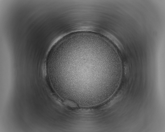 X0000110761069200906151301