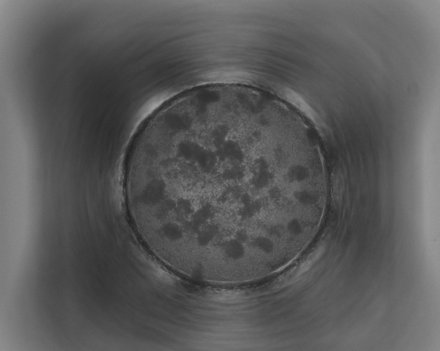 X0000110761071200906151301