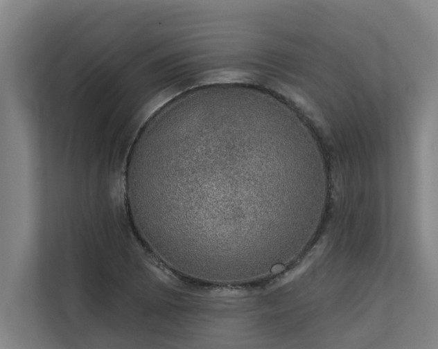 X0000110761073200906151301