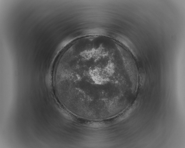 X0000110761074200906151301