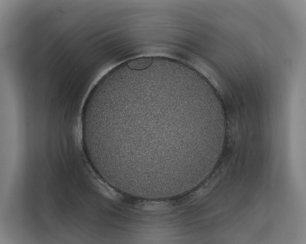 X0000110761076200906151301