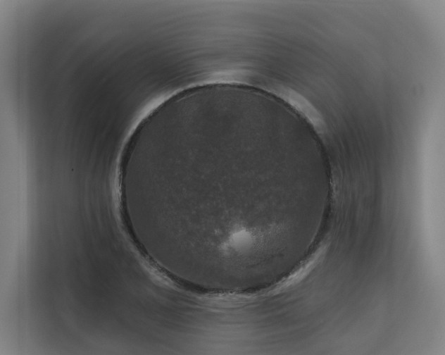 X0000110761077200906151301