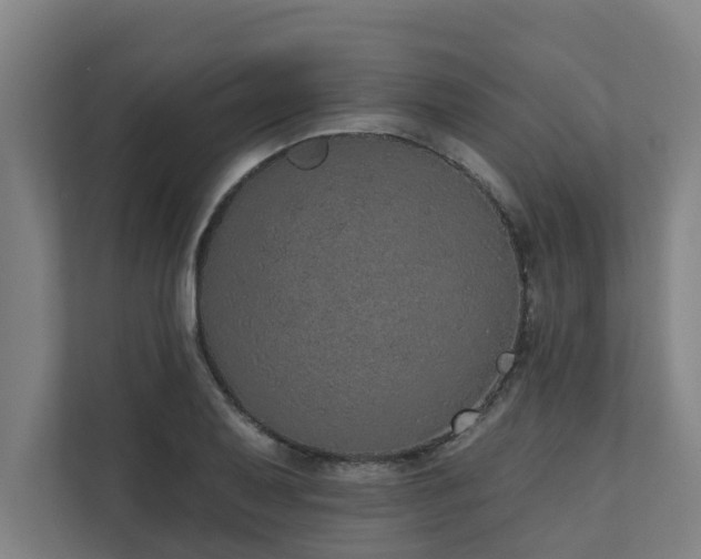 X0000110761079200906151301