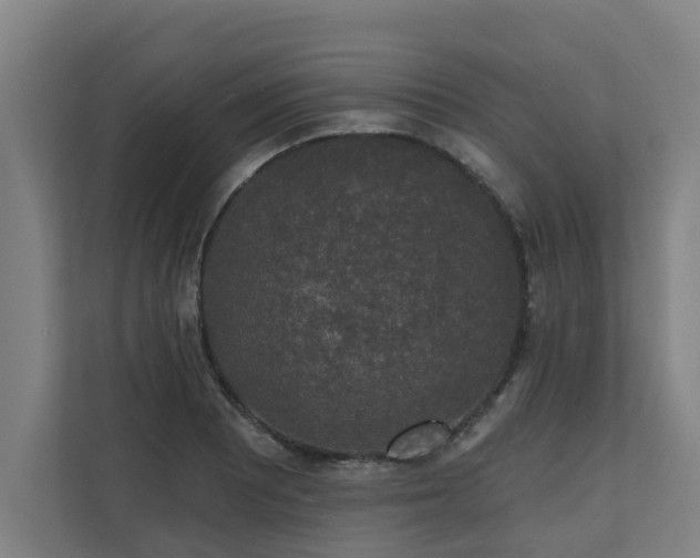 X0000110761081200906151301