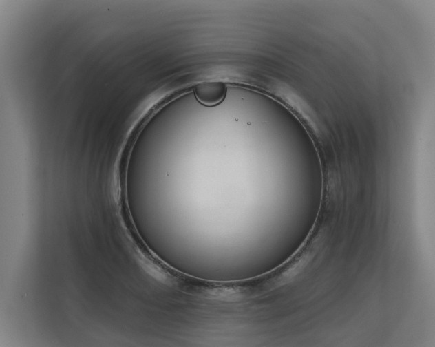X0000110761082200906151301