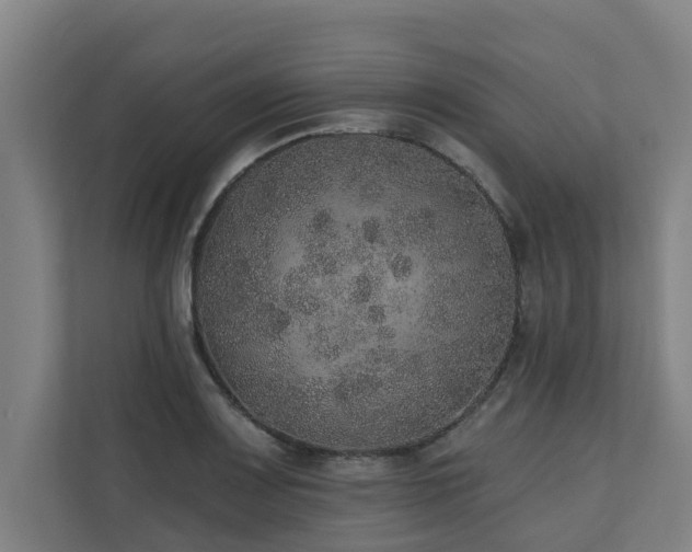 X0000110761083200906151301