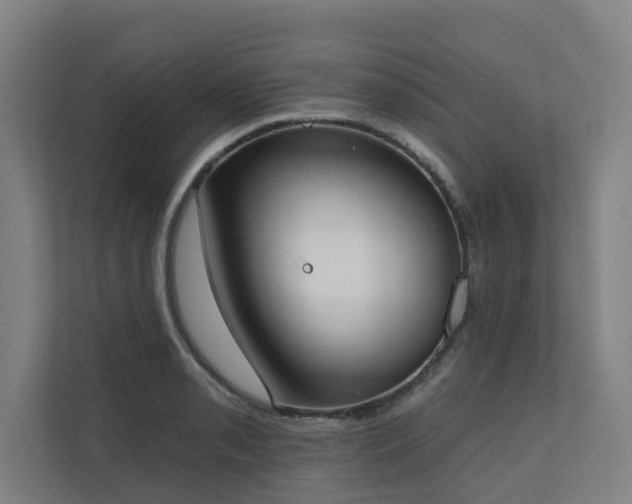 X0000110761085200906151301