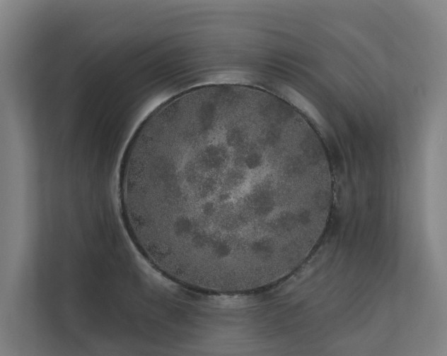 X0000110761087200906151301