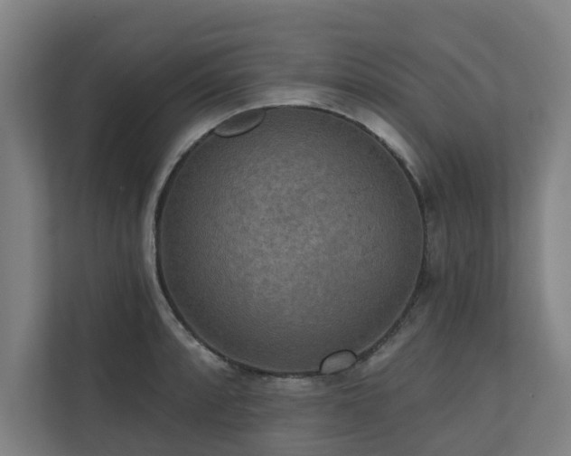 X0000110761088200906151301
