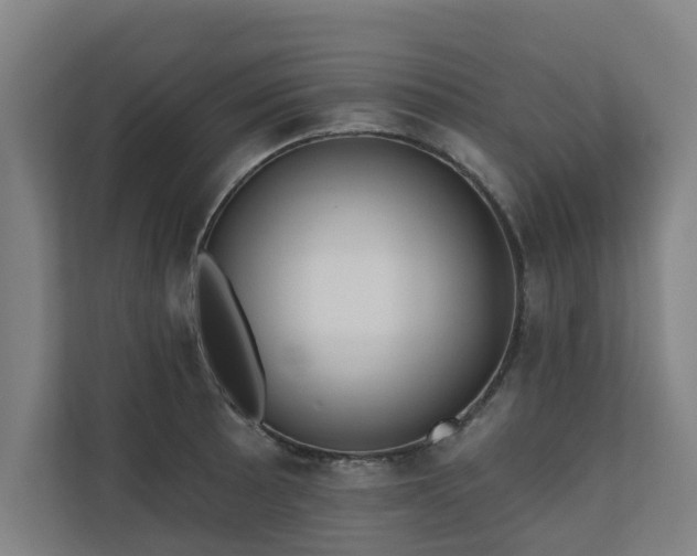 X0000110761089200906151301