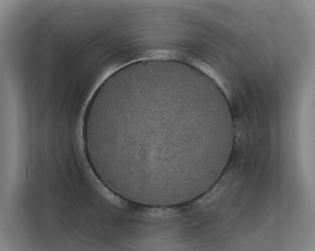 X0000110761091200906151301