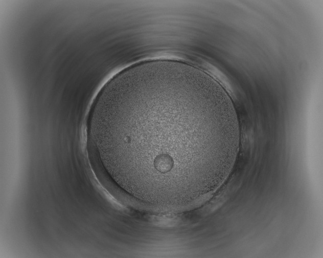 X0000110761092200906151301