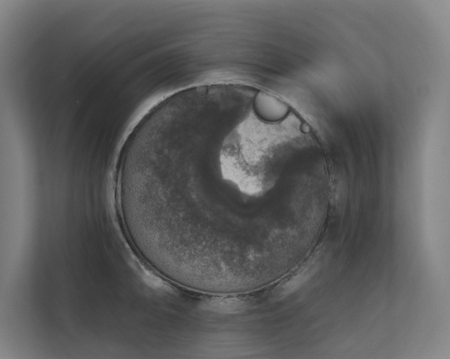 X0000110761094200906151301