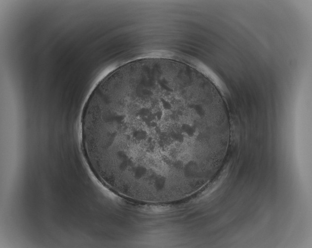 X0000110761095200906151301