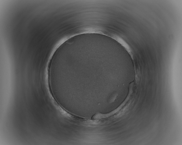 X0000110761096200906151301