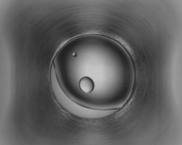 X0000110761097200906151301