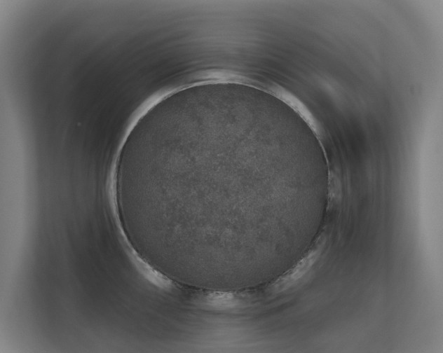 X0000110761098200906151301