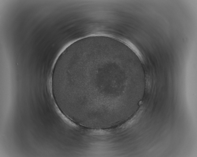 X0000110761100200906151301