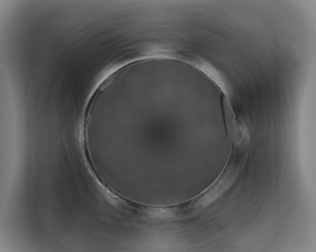 X0000110761101200906151301
